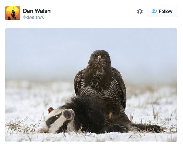 Screen Shot 2015-12-12 at 3.26.48 PM